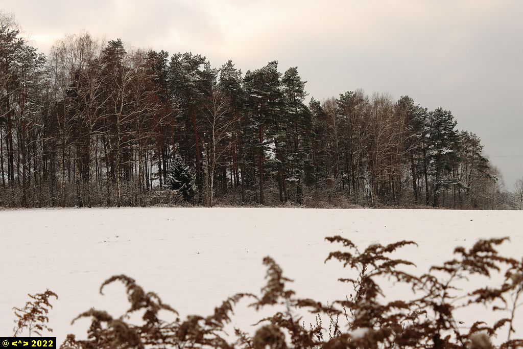 Foto nr: 1506