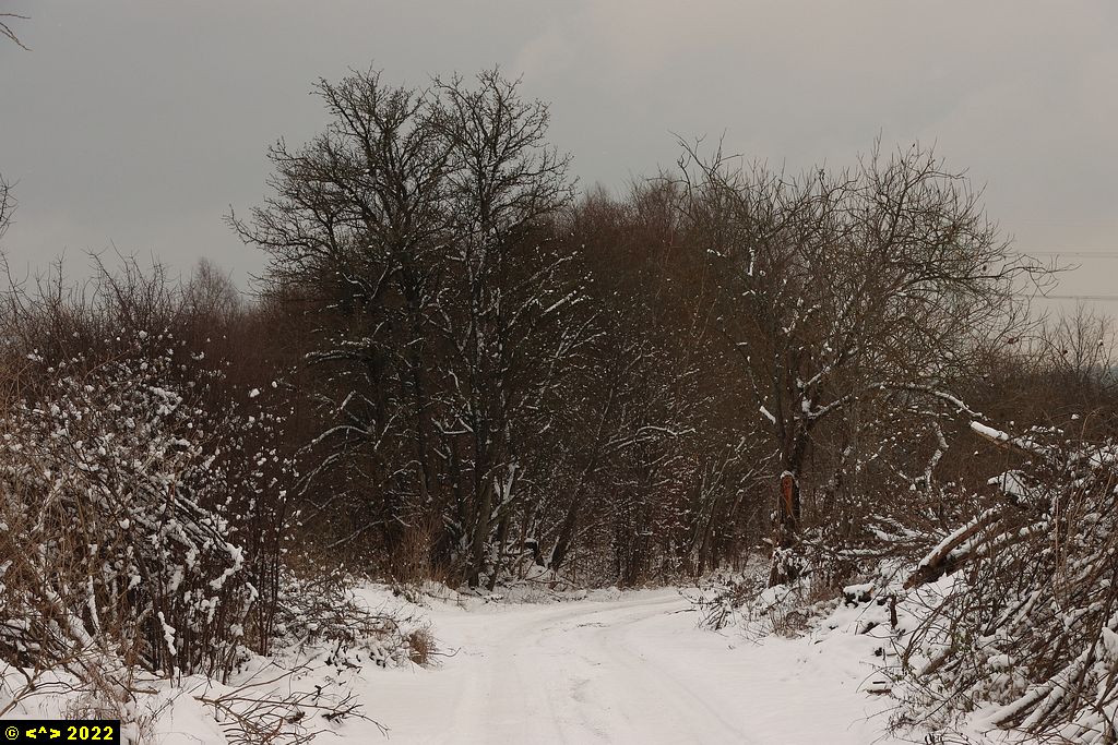 Foto nr: 1507