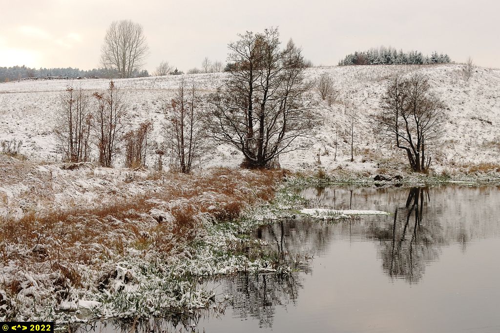 Foto nr: 1512