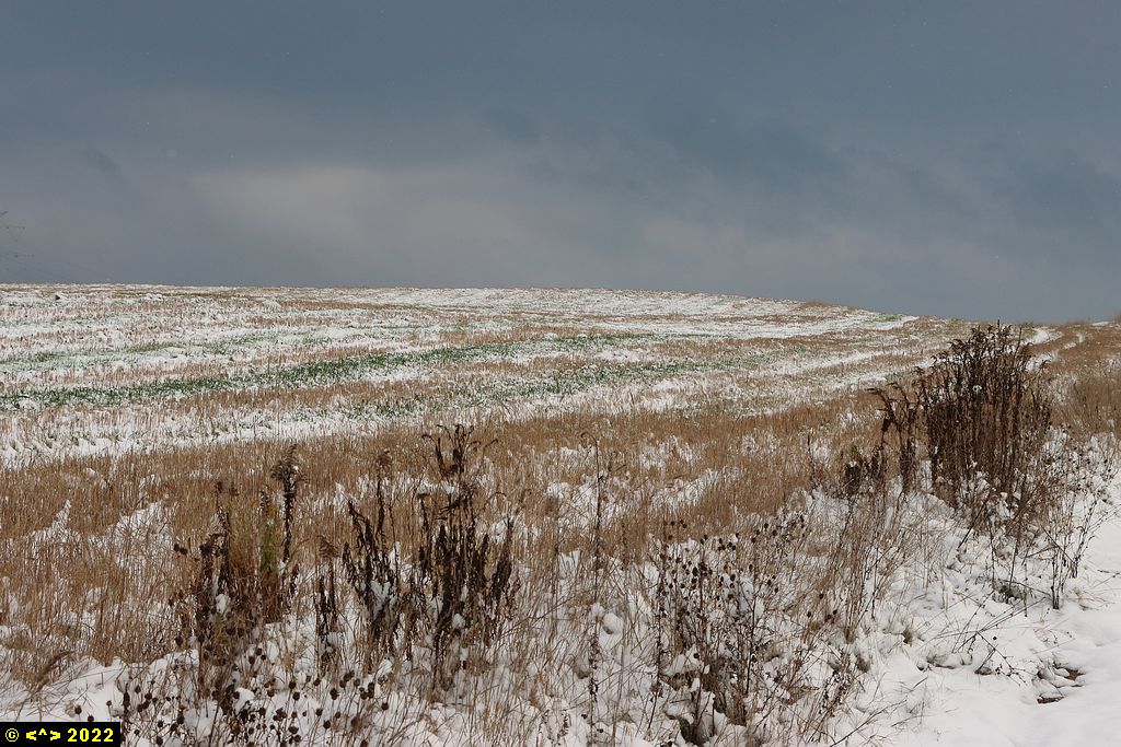 Foto nr: 1513
