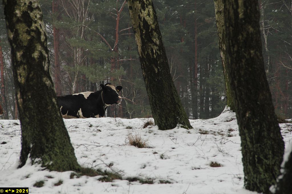 Foto nr: 1514