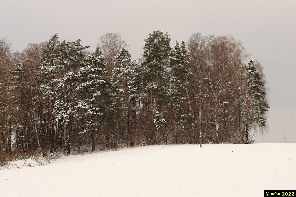 Foto nr: 1520