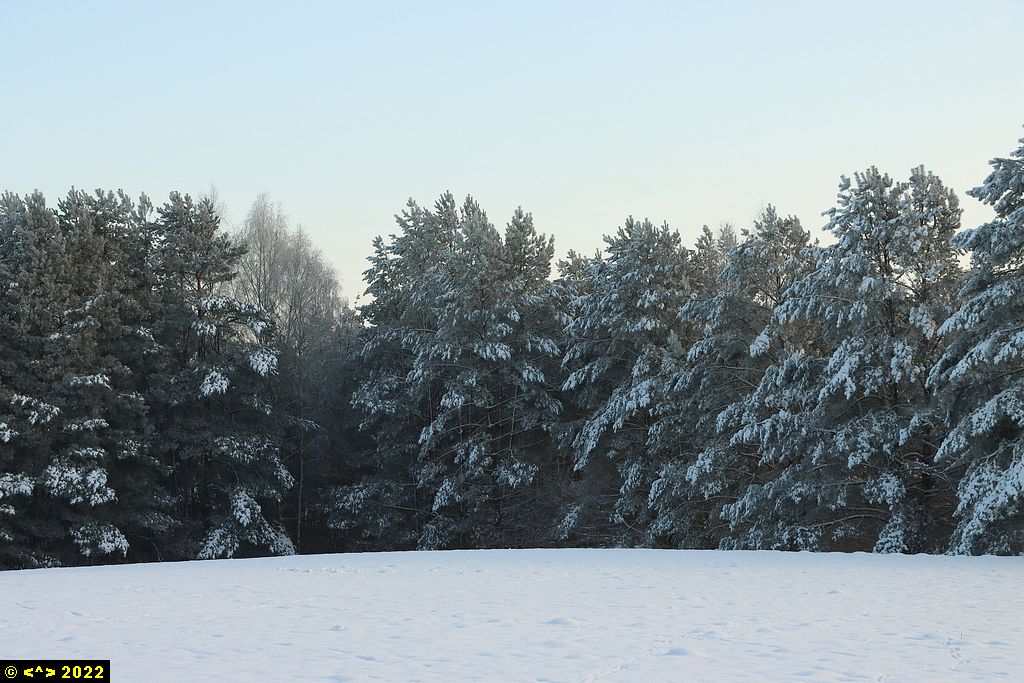 Foto nr: 1524