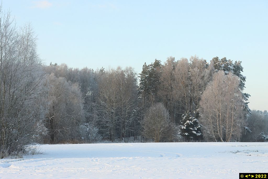 Foto nr: 1525