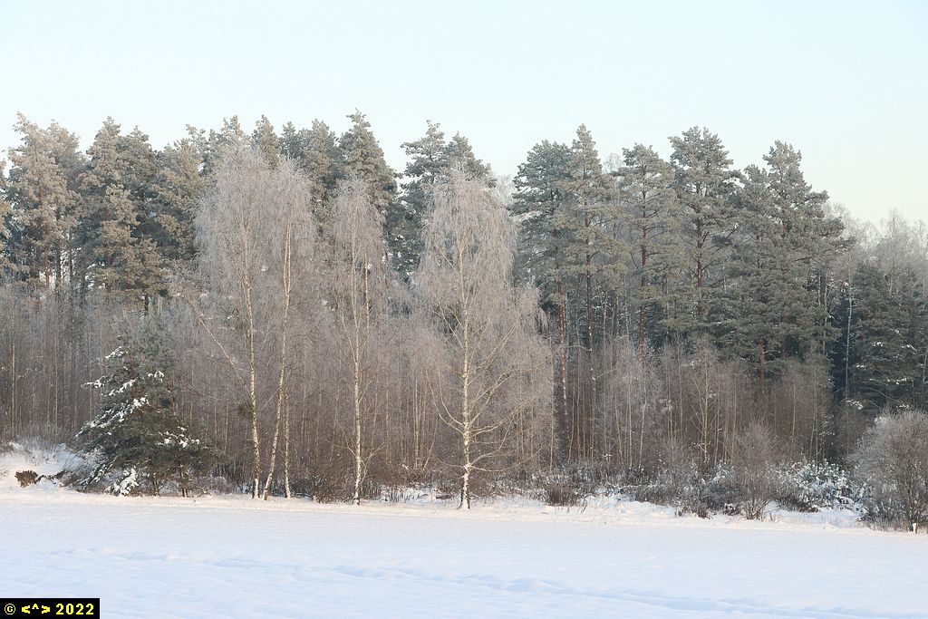 Foto nr: 1526