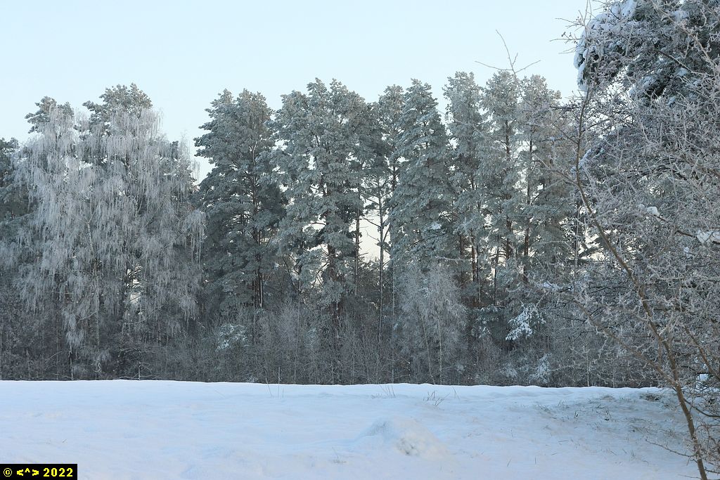 Foto nr: 1527