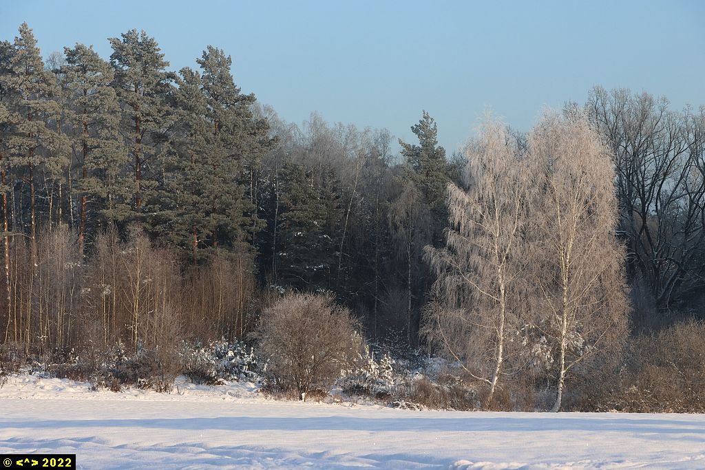 Foto nr: 1528