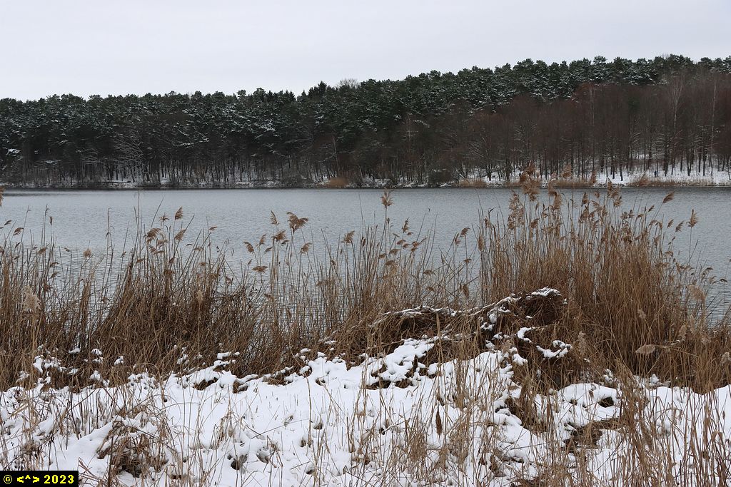 Foto nr: 1532
