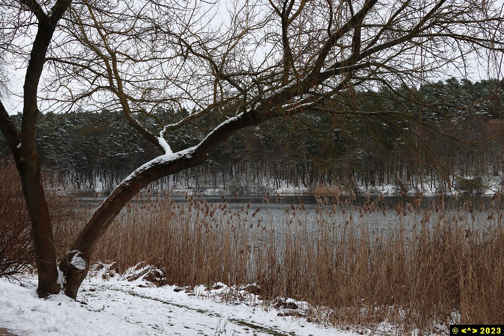 Foto nr: 1533