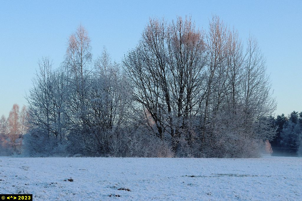 Foto nr: 1548