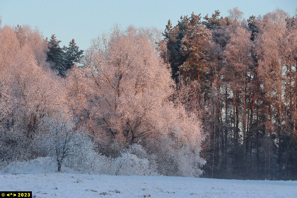 Foto nr: 1549