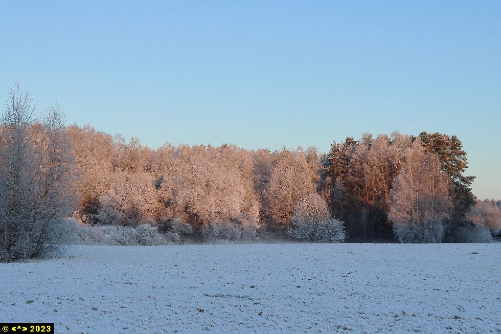 Foto nr: 1550
