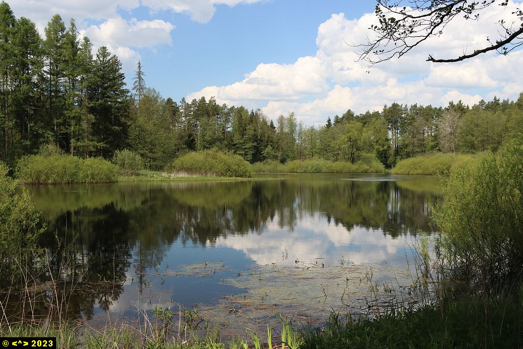 Foto nr: 1570
