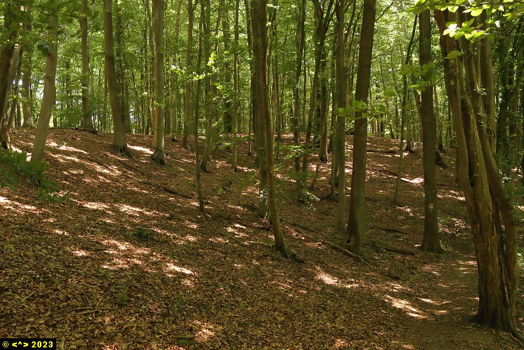 Foto nr: 1589