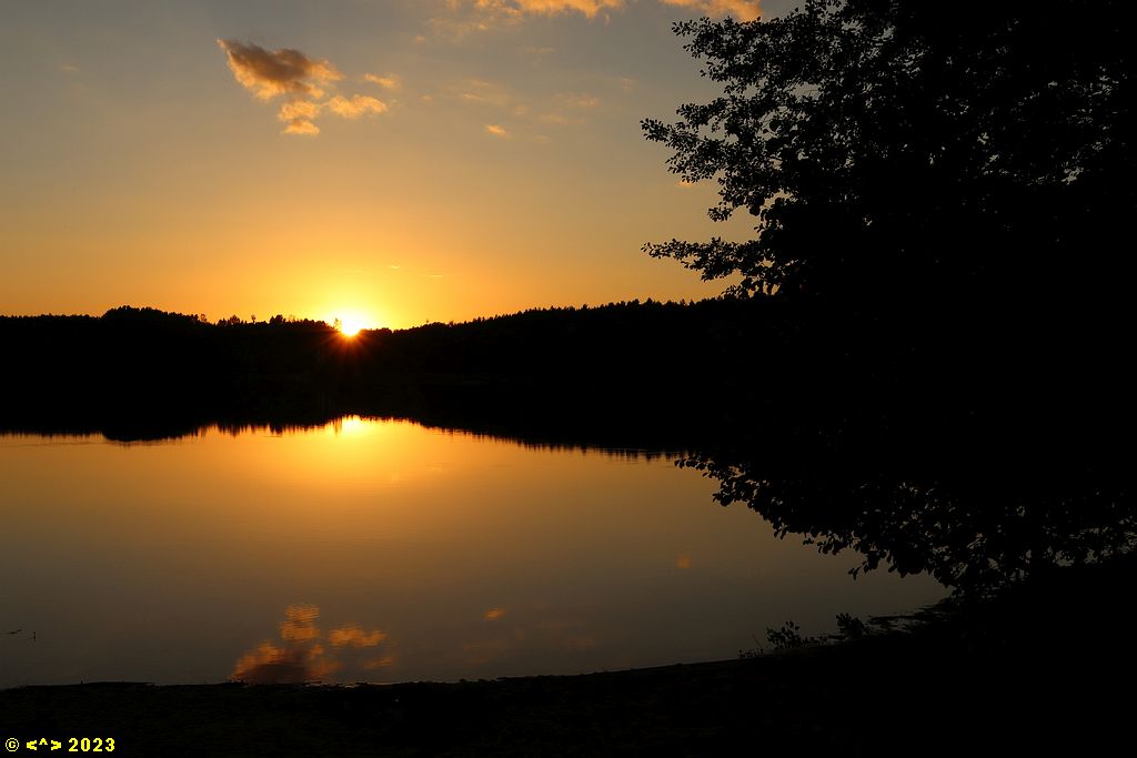 Foto nr: 1594