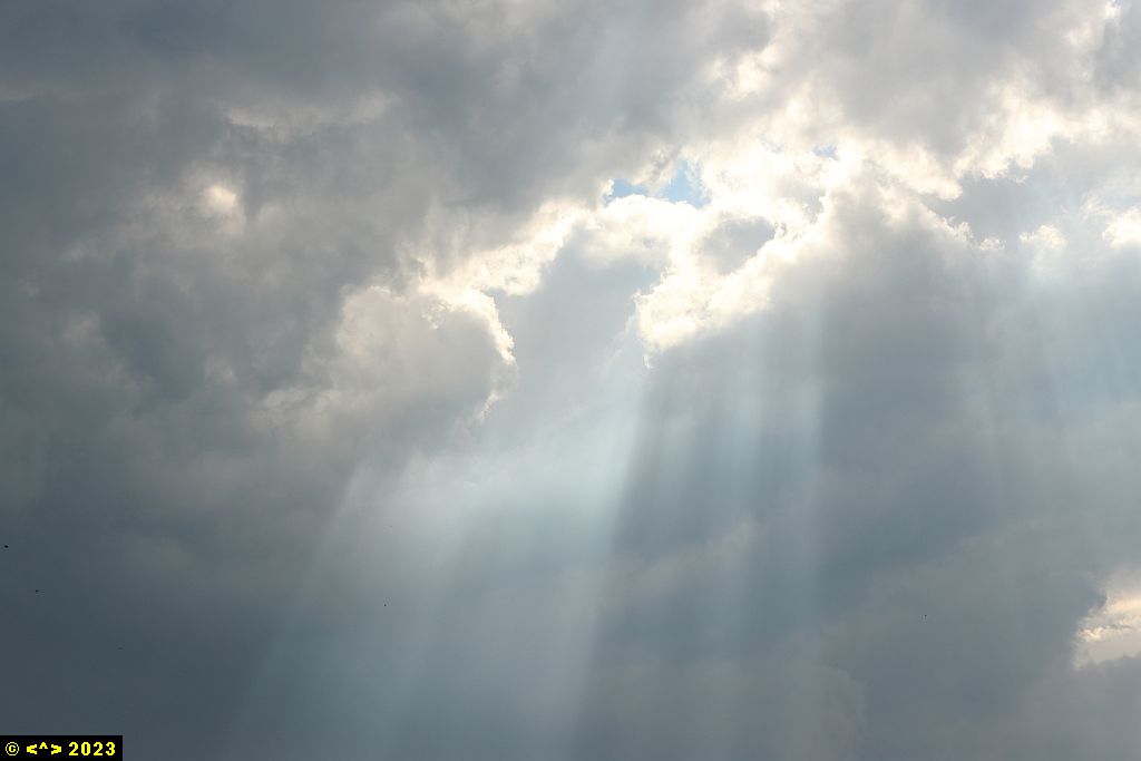 Foto nr: 1596