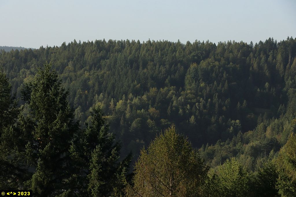 Foto nr: 1610