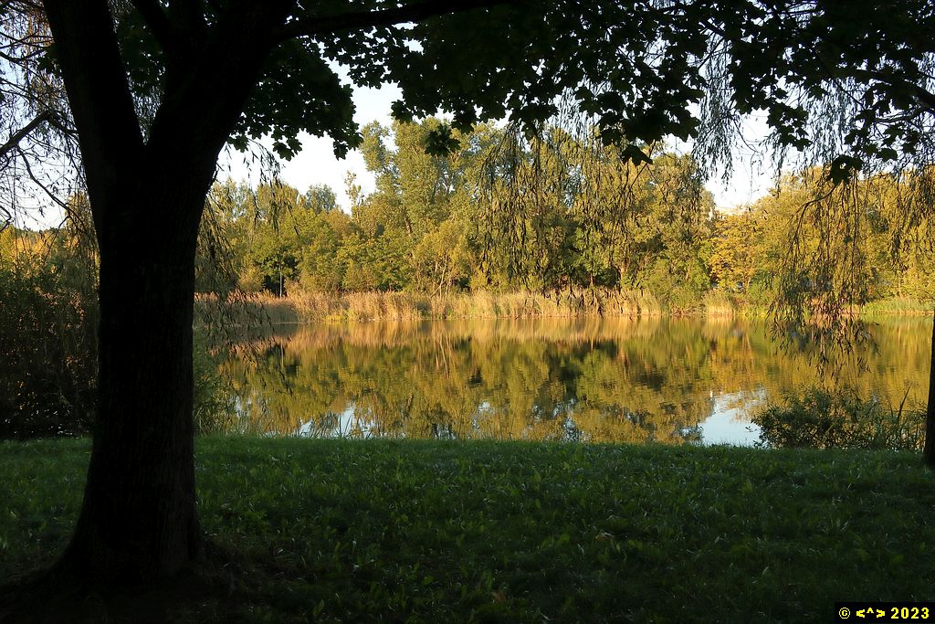 Foto nr: 1612