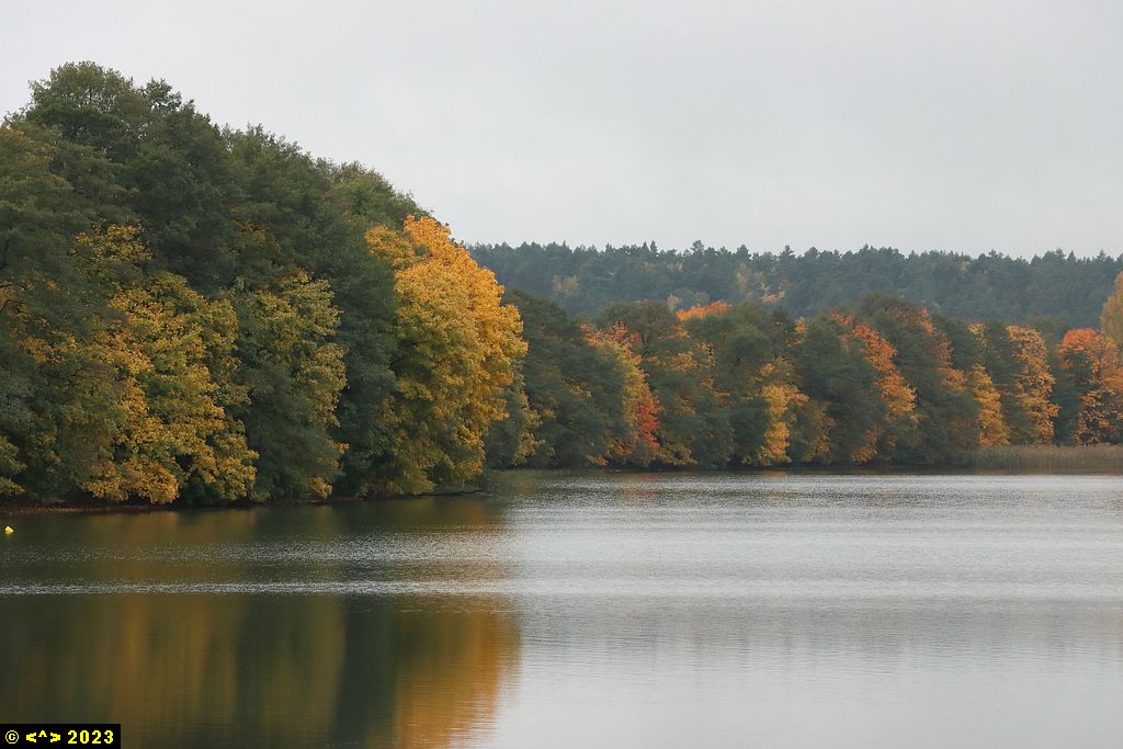Foto nr: 1620