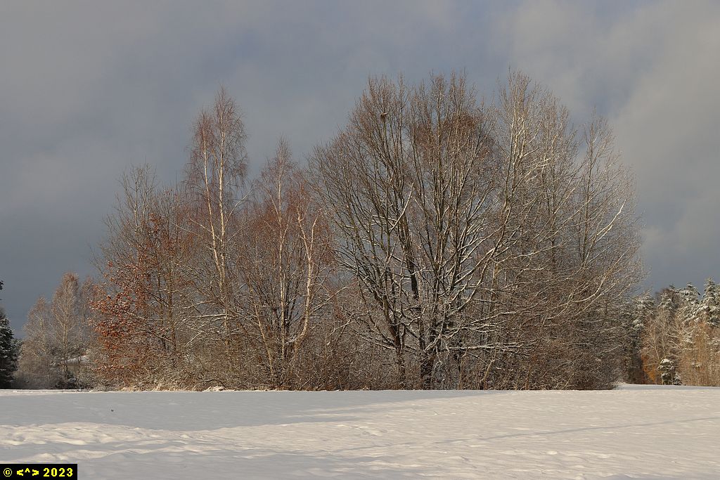 Foto nr: 1630