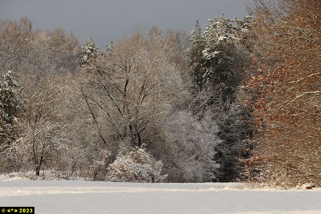 Foto nr: 1631