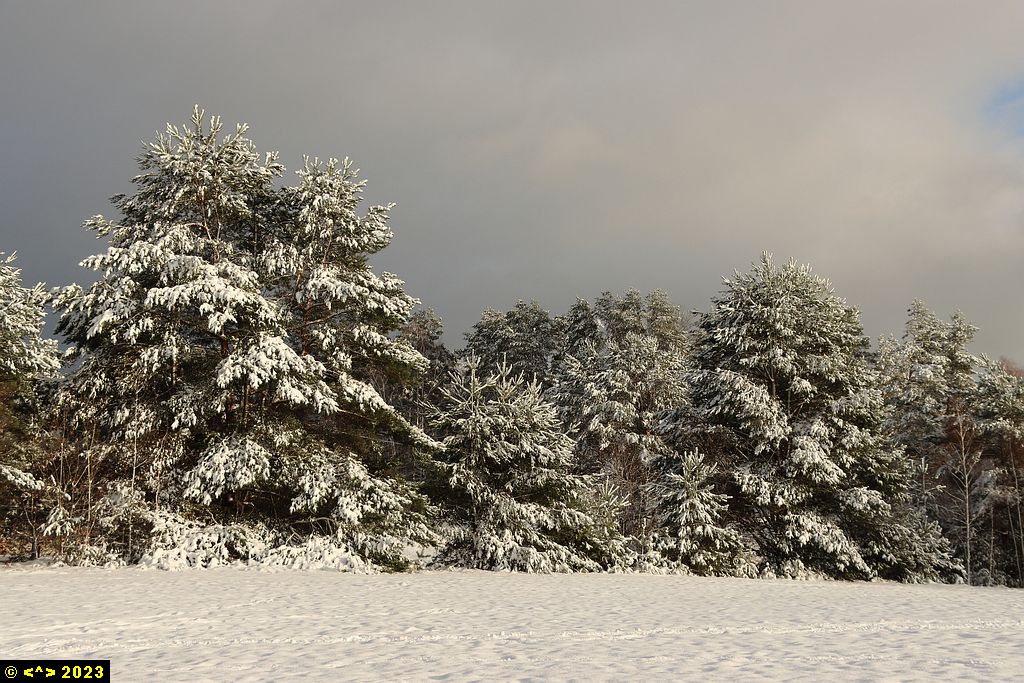 Foto nr: 1632