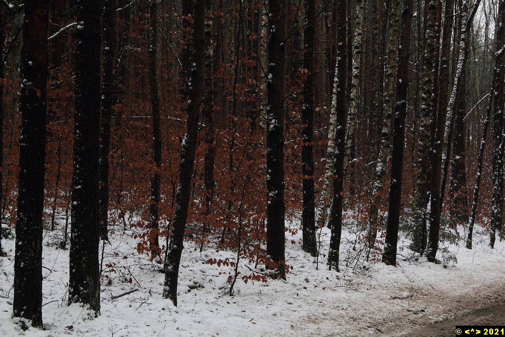 Foto nr: 1633
