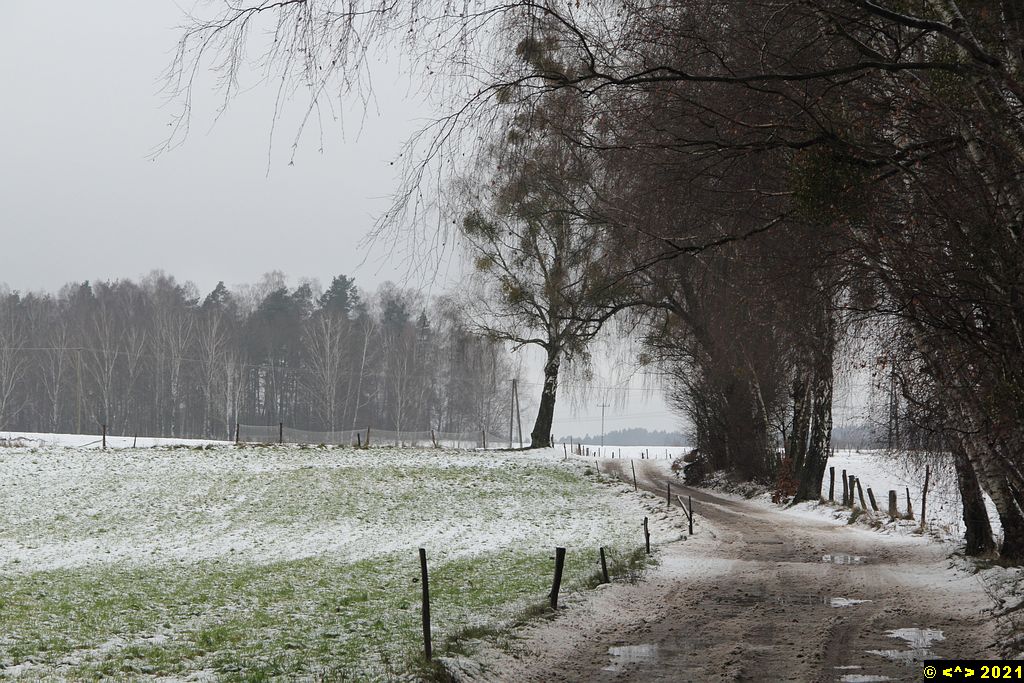 Foto nr: 1634