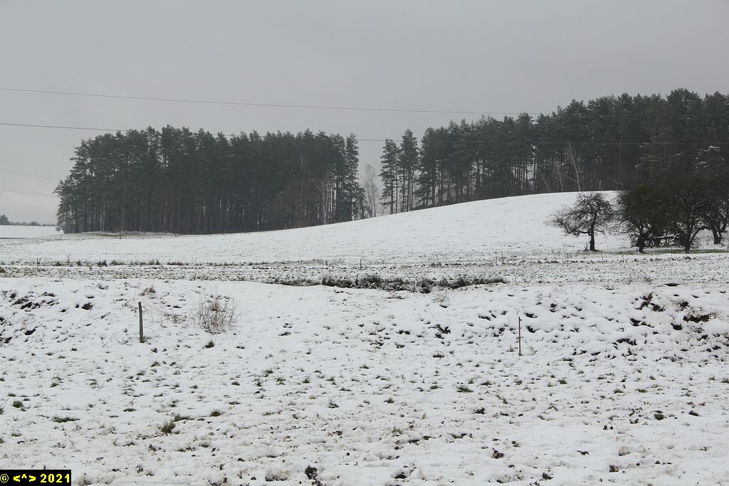 Foto nr: 1635