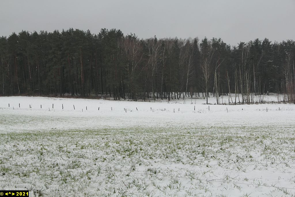 Foto nr: 1636