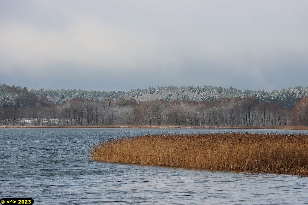 Foto nr: 1639