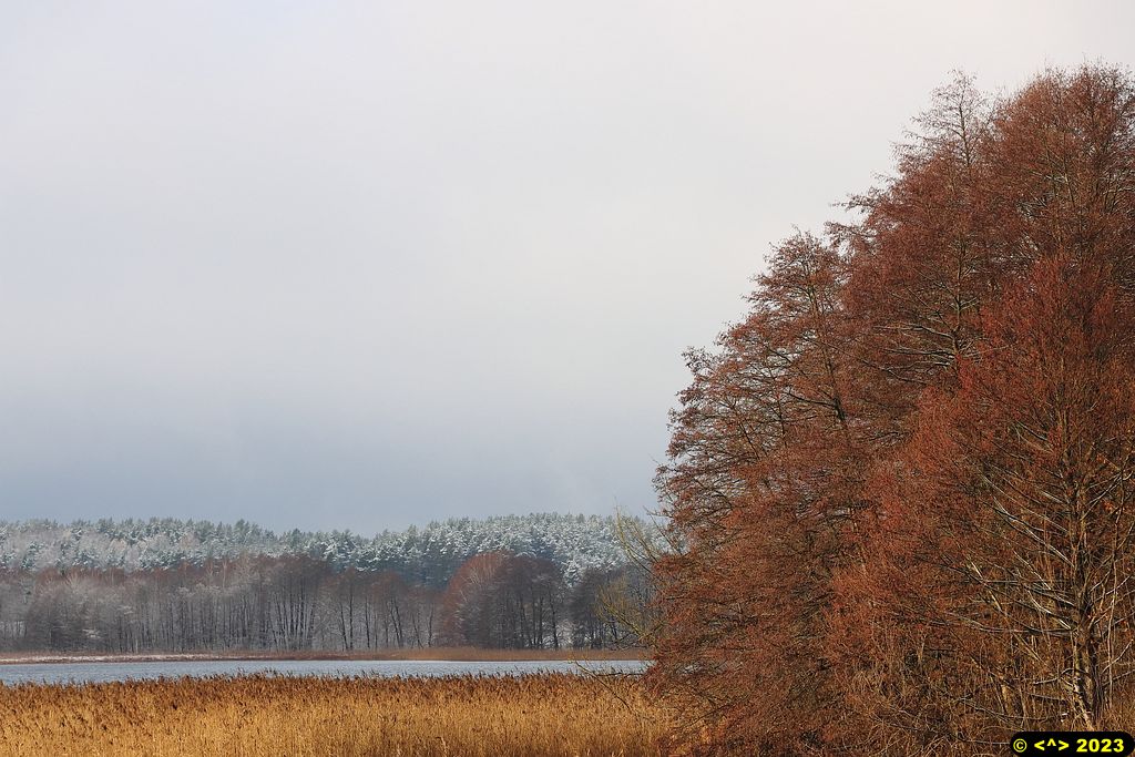 Foto nr: 1640