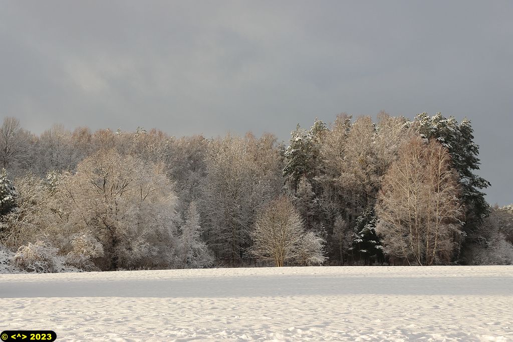 Foto nr: 1641