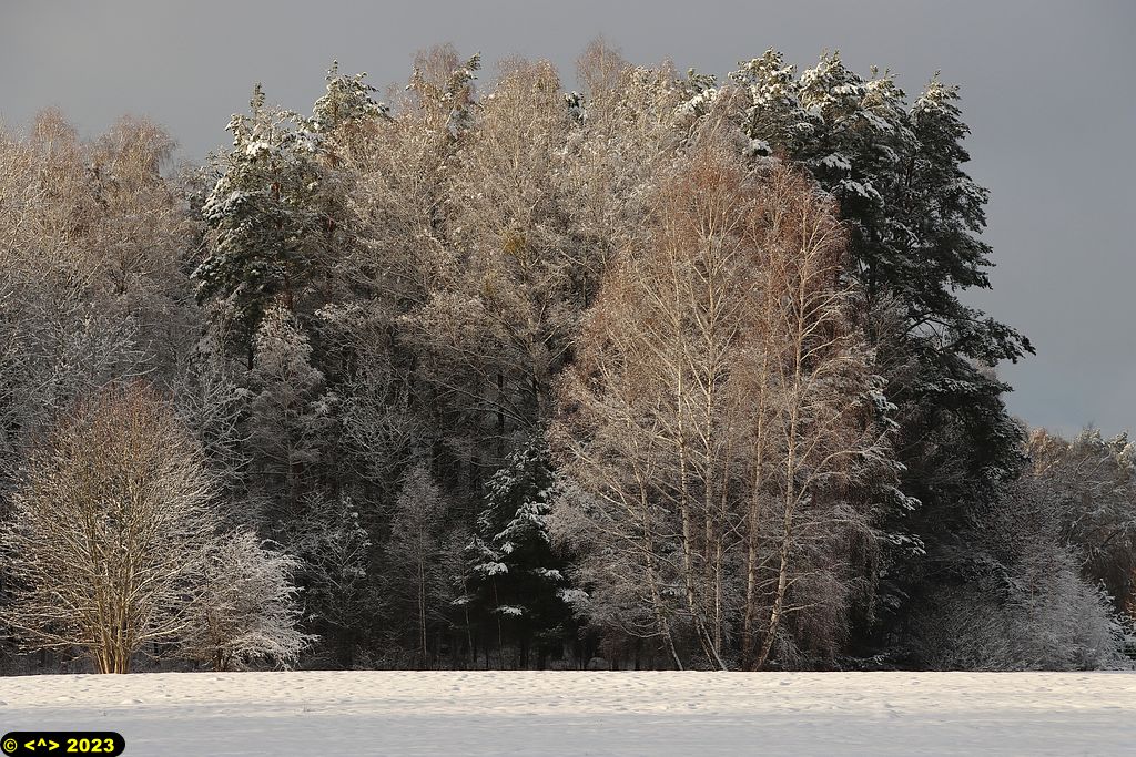 Foto nr: 1642