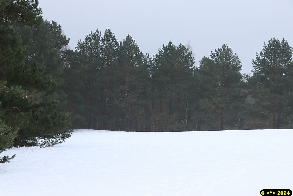 Foto nr: 1645