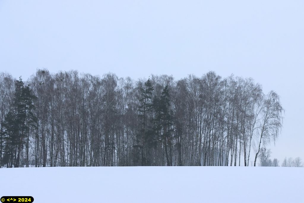 Foto nr: 1647
