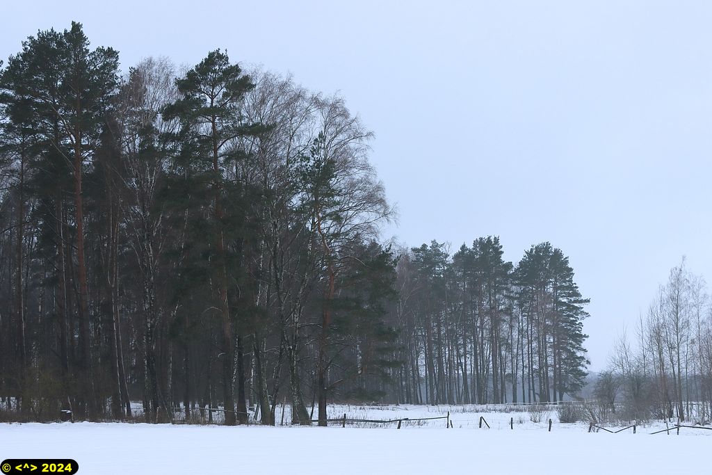 Foto nr: 1648