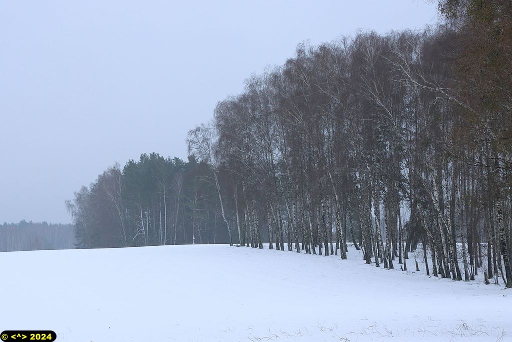 Foto nr: 1649