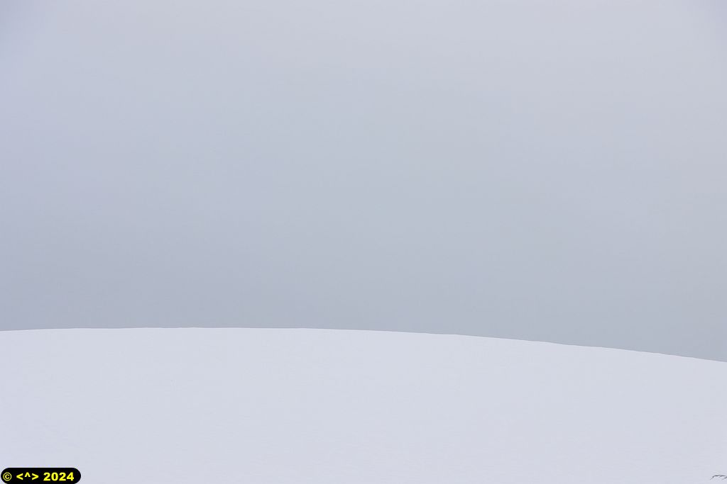 Foto nr: 1651