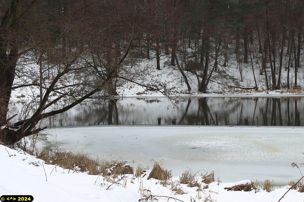 Foto nr: 1653