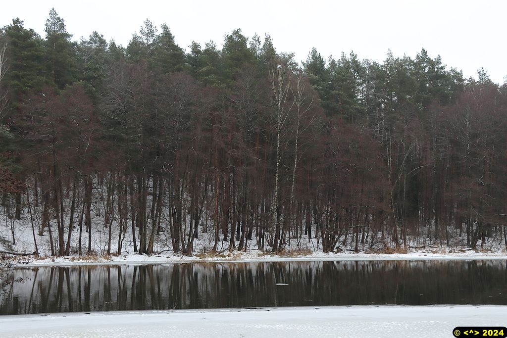 Foto nr: 1654
