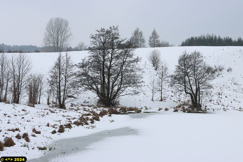 Foto nr: 1658