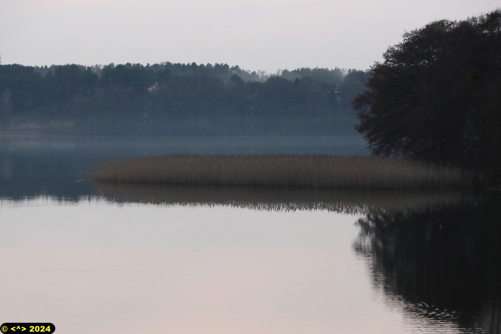 Foto nr: 1659