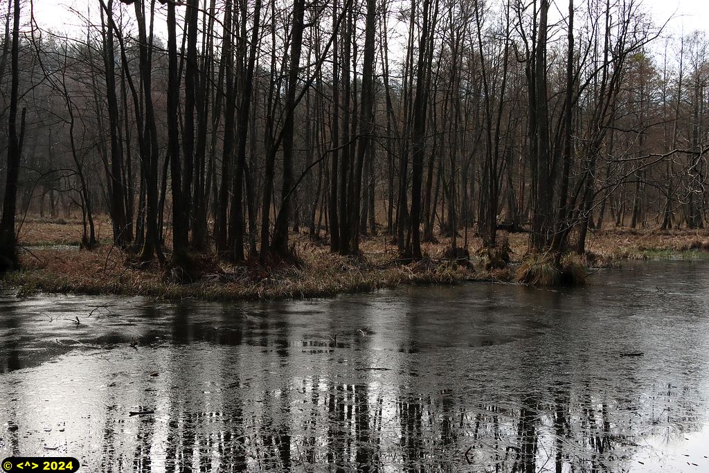Foto nr: 1672
