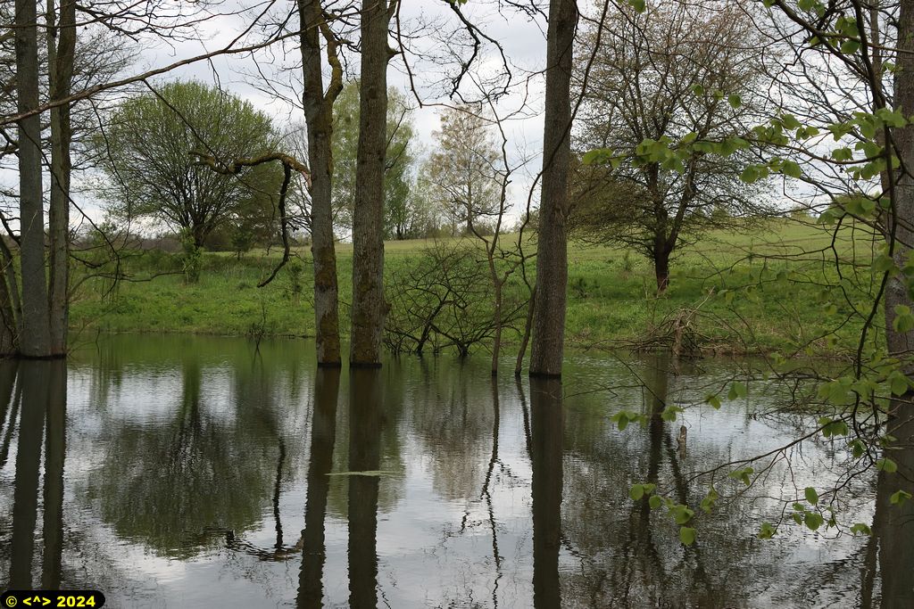 Foto nr: 1683