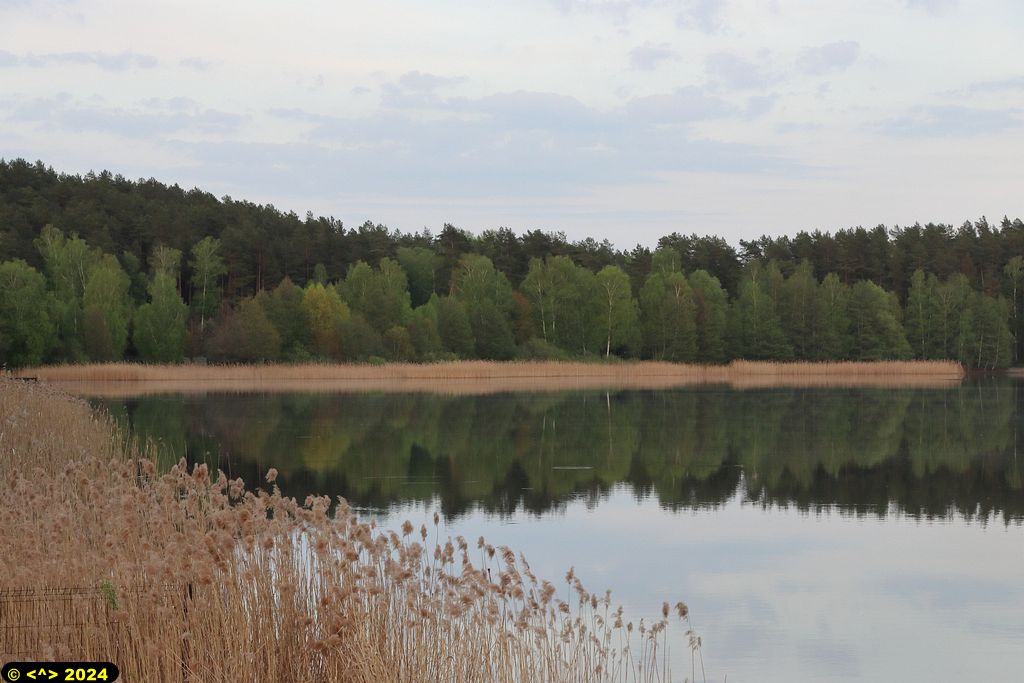 Foto nr: 1688