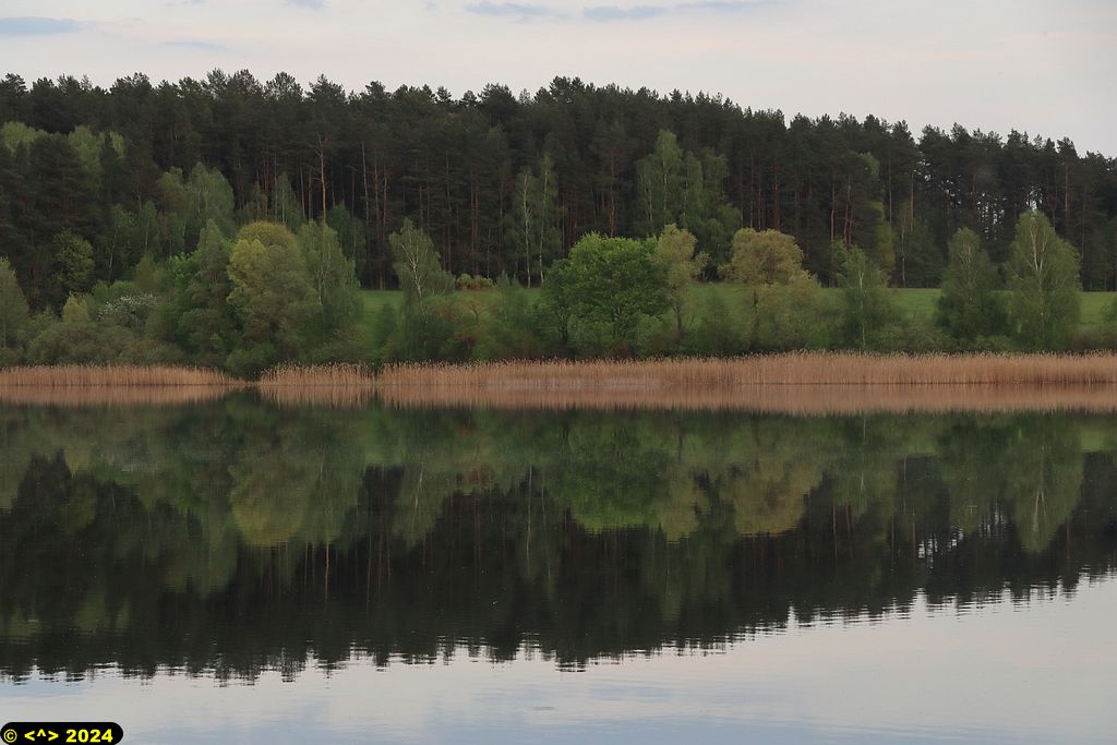 Foto nr: 1689