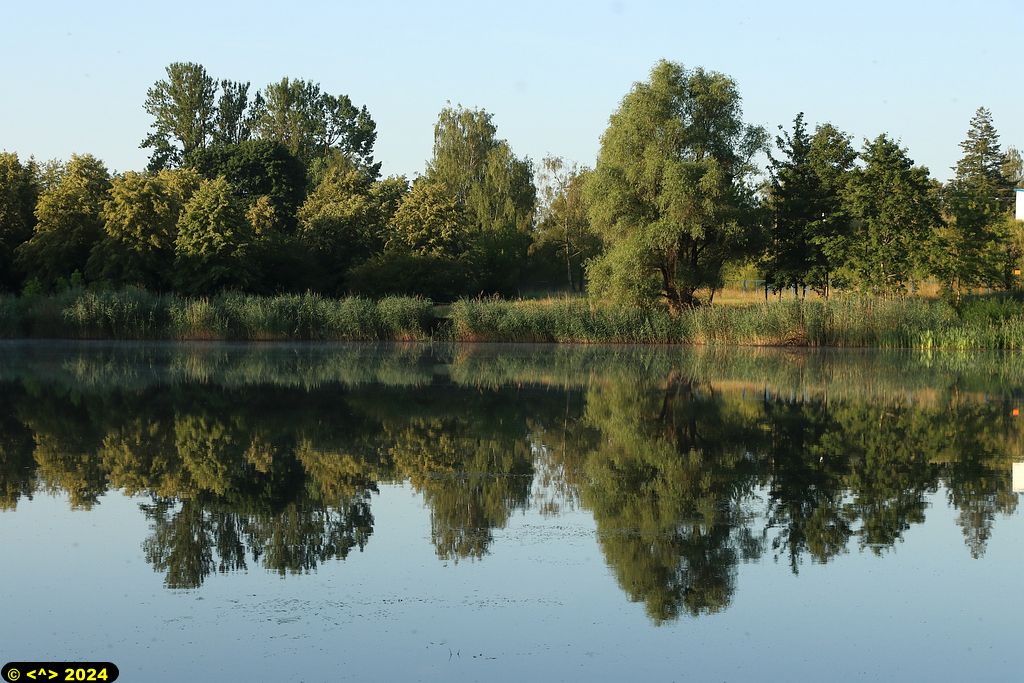 Foto nr: 1698