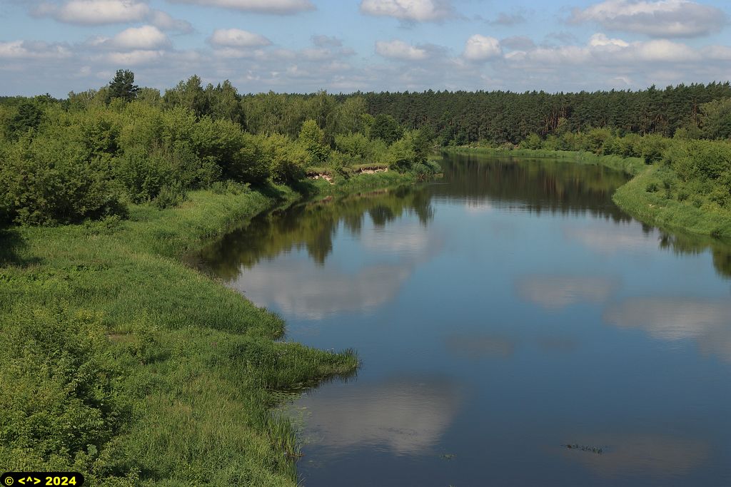 Foto nr: 1701