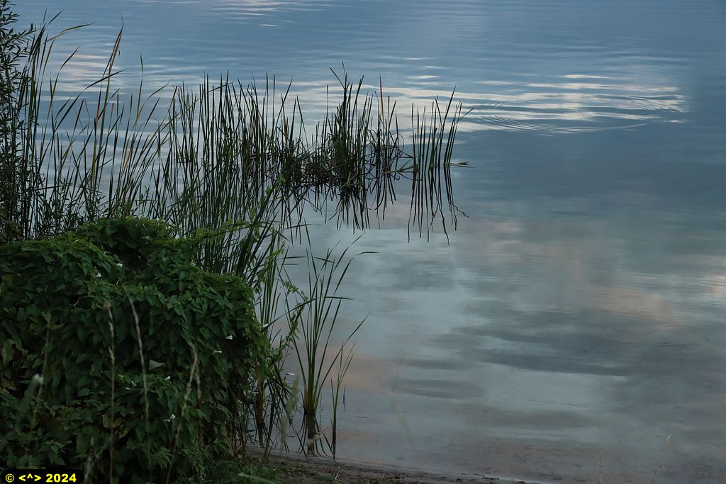 Foto nr: 1725